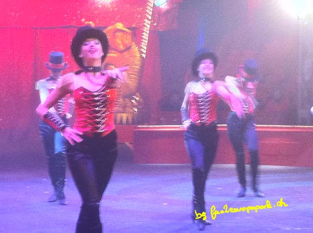 Zirkus 2013