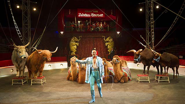 Zirkus 2013