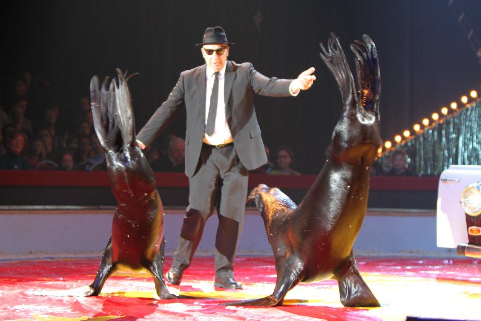 Zirkus 2013