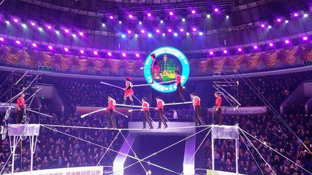 Zirkus 2014